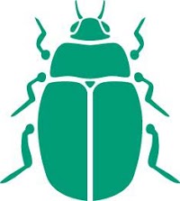 Beetle Green 517097 Image 0
