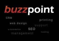 BuzzPoint Web Design Consultancy 512943 Image 1