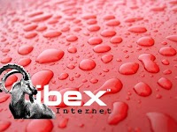 Ibex Creative 502604 Image 1