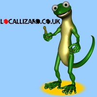 Local Lizard 501925 Image 0