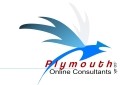 Plymouth Online Consultants 515026 Image 3