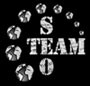 Team SEO 502543 Image 0