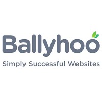 Ballyhoo Ltd 516729 Image 0