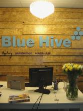 Blue Hive 516483 Image 4