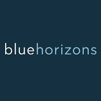 Blue Horizons Marketing 507201 Image 0