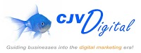 CJV Digital Ltd 517735 Image 1