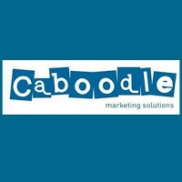Caboodle Marketing Solutions Limited 505576 Image 5