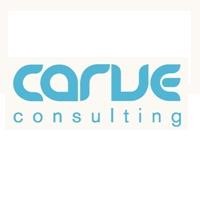 Carve Consulting 505197 Image 1