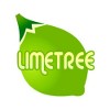 LimeTree 499438 Image 0