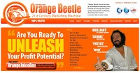 Orange Beetle Marketing 515788 Image 1