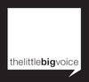 The Little Big Voice 513775 Image 1